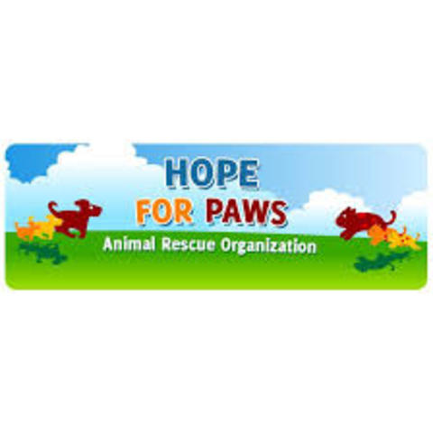Hope for paws Starts!