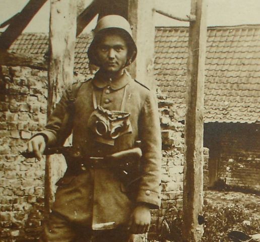 Hitler Rises to Power