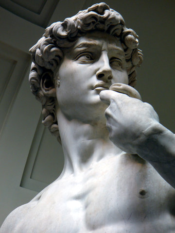 Michelangelo created the David