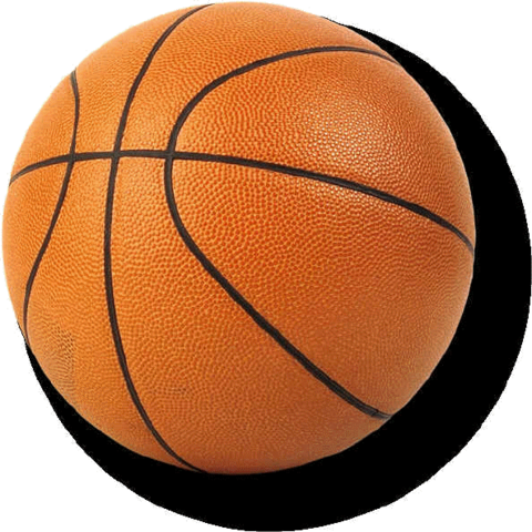 Made the middle school basketball team.