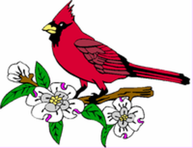 The day i started school