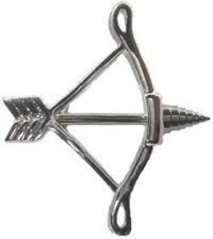 got my bow and arrows