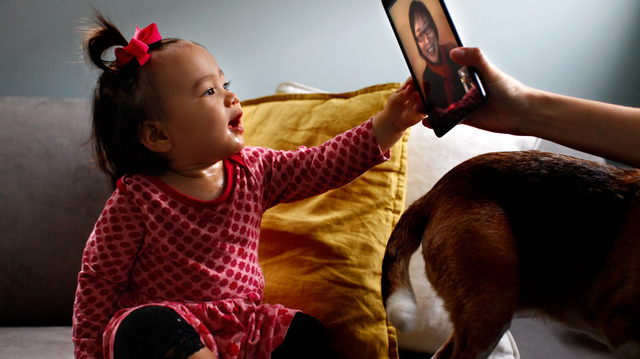 13-15 Months Cognitive