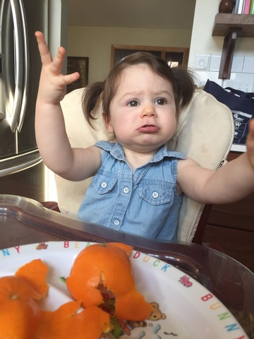 13-15 Months Cognitive