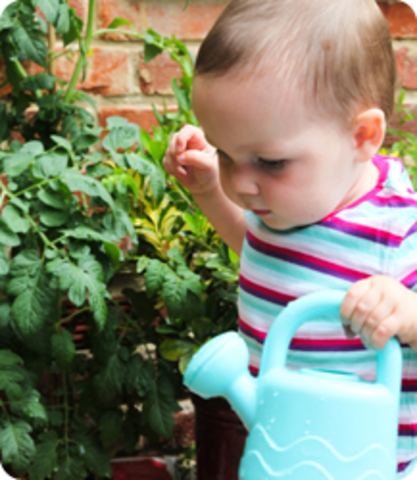 16-18 Months Physical