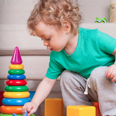 16 to 18 Months Intellectual