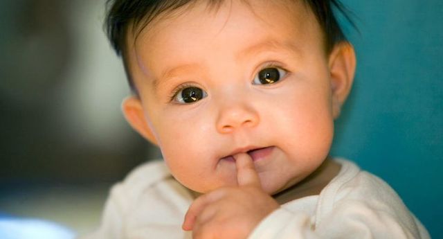 16-18 Months Cognitive Development