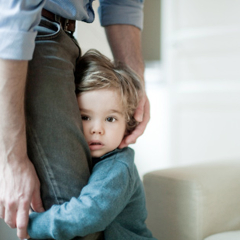 16-18 Months Cognitive