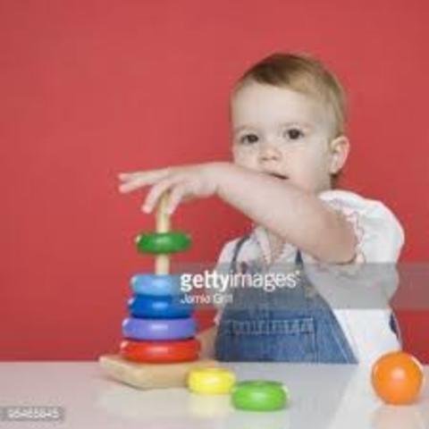 30-36 Months Cognitive Development