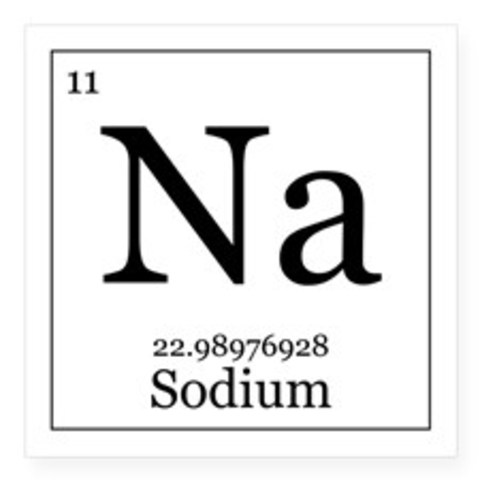 Sir Humphry Davy Discovers Sodium (11)