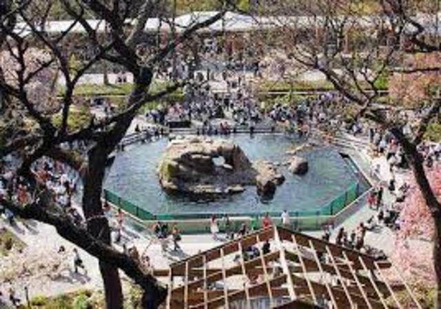 Central Park Zoo Opens