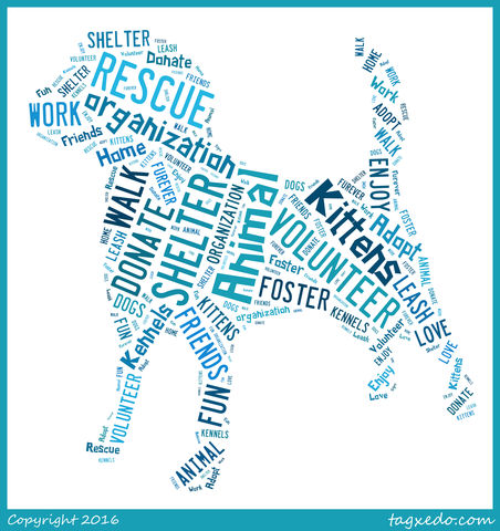 Is a "no kill" Organization