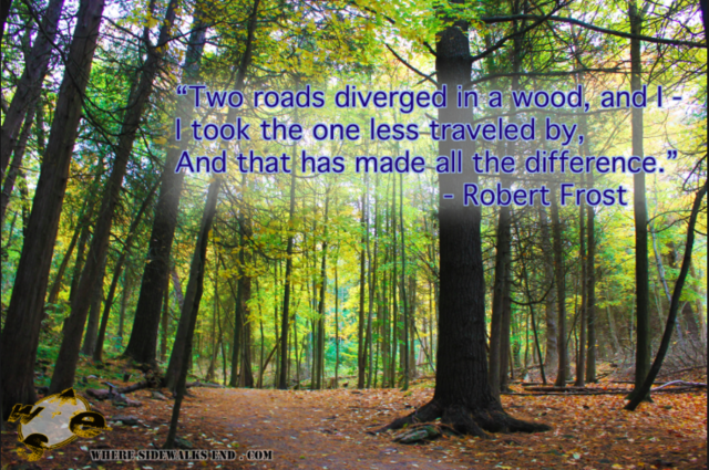 The Road Not Taken - Frost