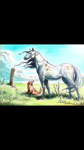 <> [Sabine R Ulibarrí]