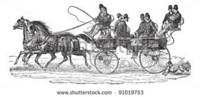 Caballo de tiro y paseo