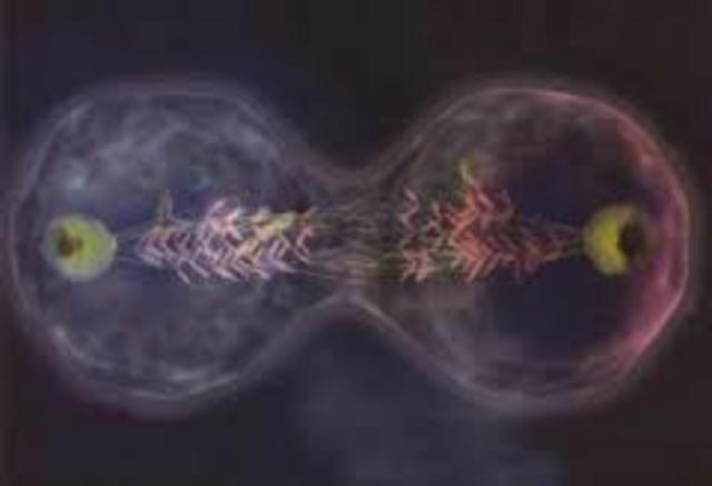 División incontrolada de la célula