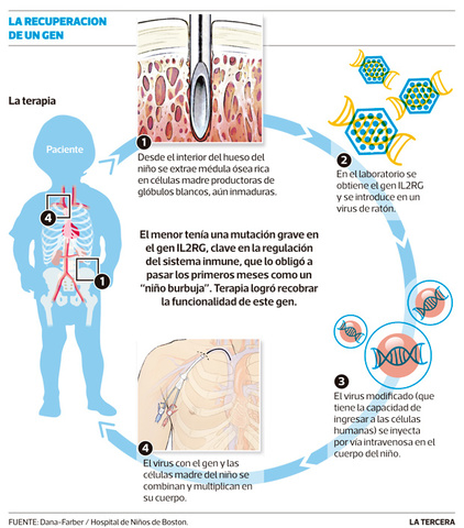 Tratamientos contra el cancer