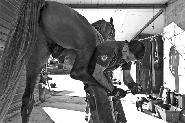 Práctica de herraje