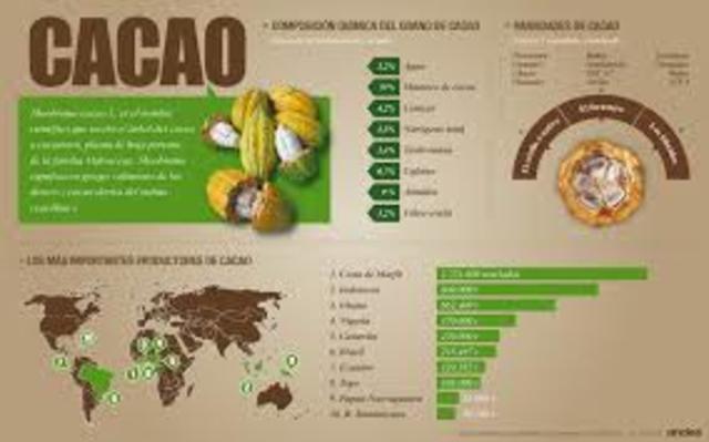 Produccion de cacao actualmente