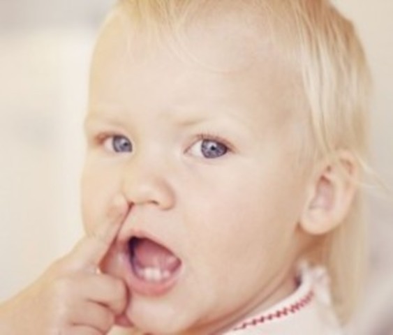 16 months Cognitive Development