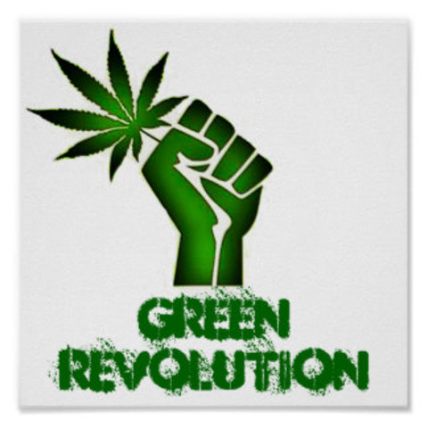 The Green revolution