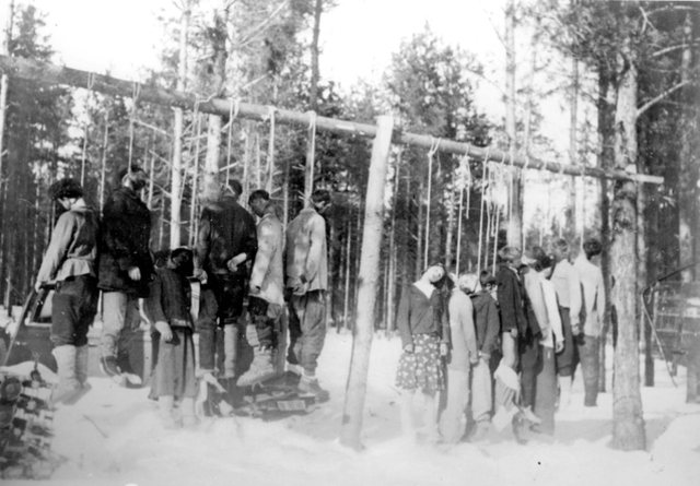 Operation Barbarossa (1941)