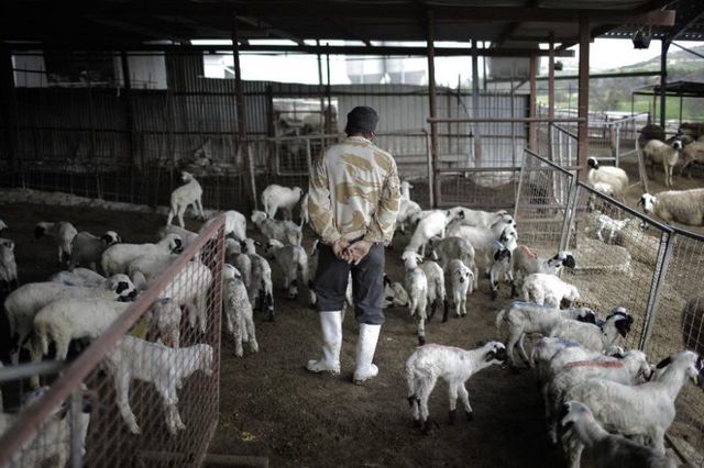 Turkish Cypriots come under embargo