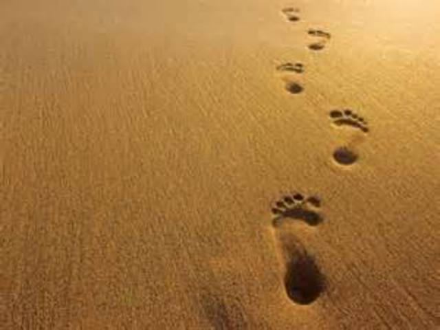 Footprints........