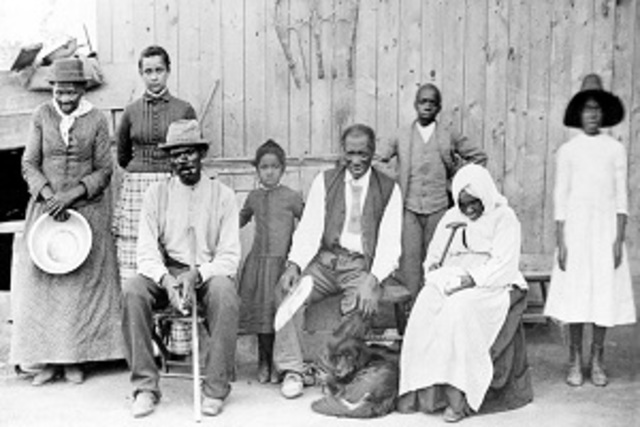 First Job on Plantation