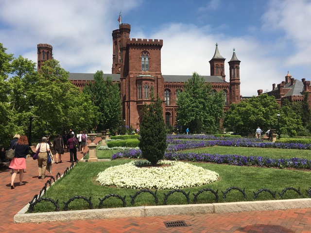 Exploring the Smithsonian Museums