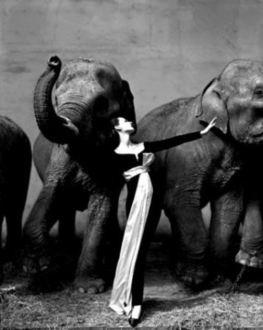 Fotógrafo de modas y retratistas