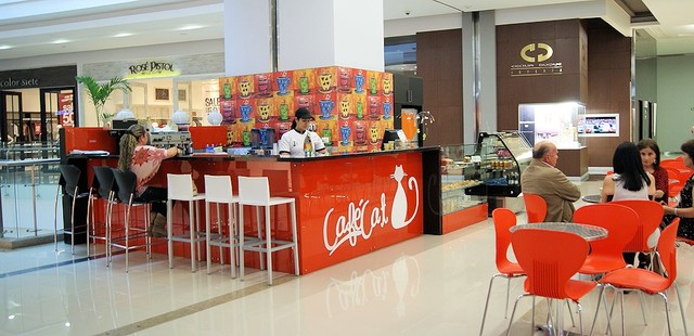 Ultra Especializado Regional Local