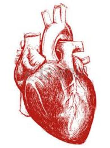 ¿en realidad es su corazón?