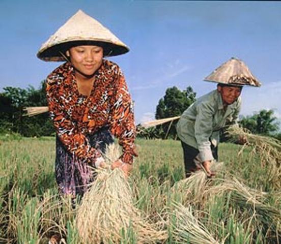 PRIMERA EVALUACIÓN DE APTITUDES