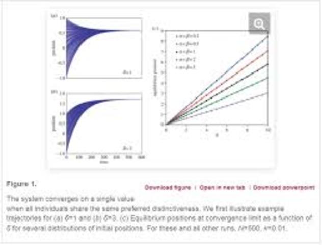 ELABORACIONES MATEMÁTICAS