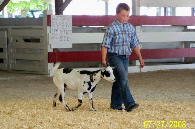 First 4-H Fair