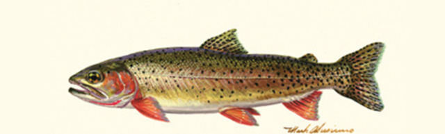 First Time I Went to Wyoming