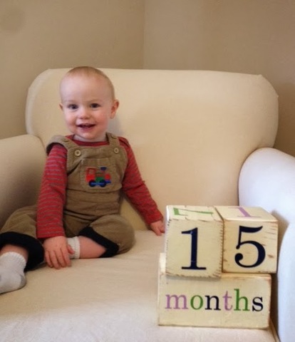 13-15 Months Cognitive Development