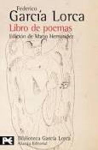 Libro de poemas