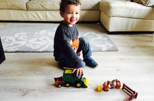 Cognitive Development in 24-30 months