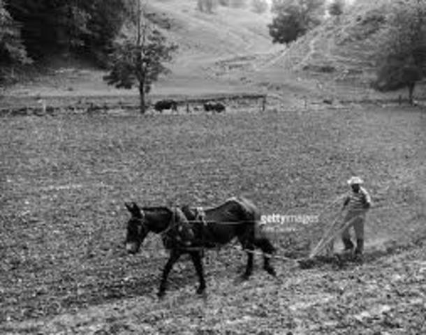 Albert teaches Joey how to pull