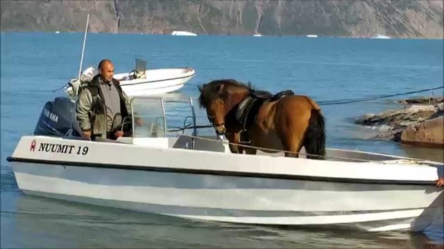 Joey is sent to France on a boat with topthorn