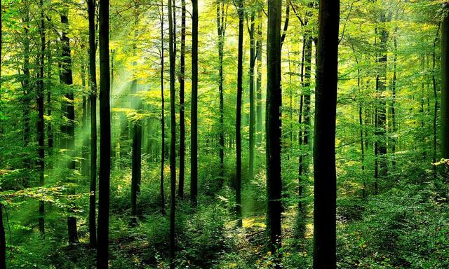 Wilderness Preservation Act