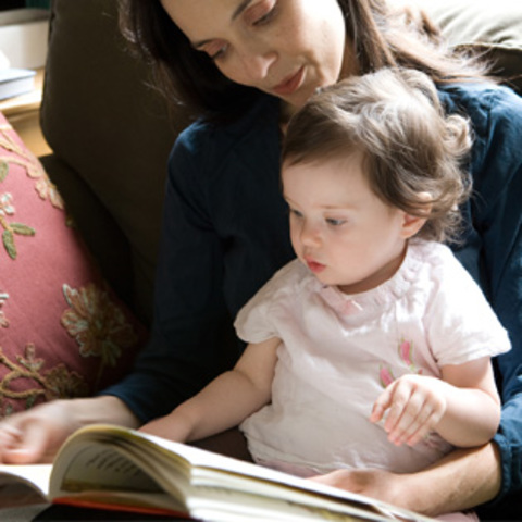 30-36 Months Cognitive Development