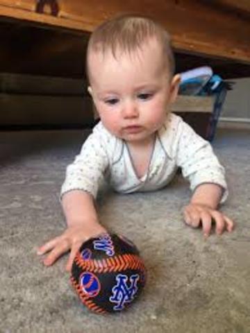 16-18 months / Physical Development