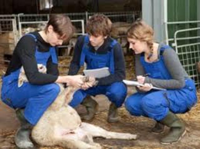 Authentic Learning Tasks