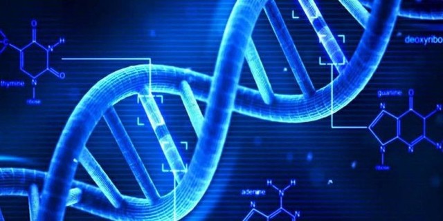 Dr. Roland Luziers (ADN)