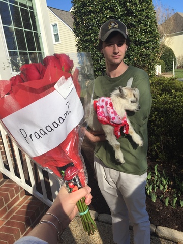 Baile de gala estudiantil