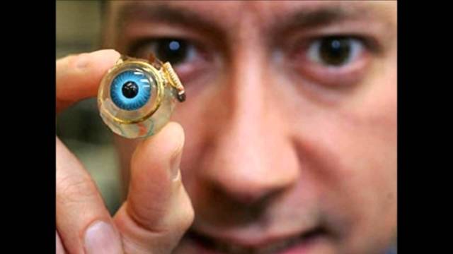 El ojo biónico 2010