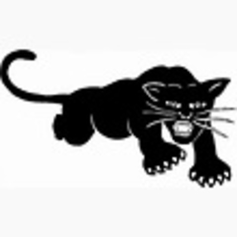 Black Panther Party